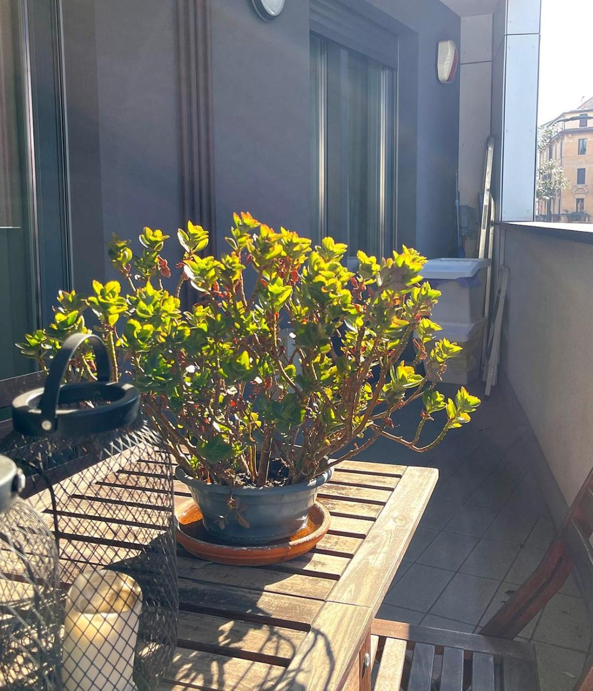 Suite Porta Romana Milano Exteriör bild